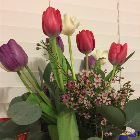 Meet your Posher, Charlie - Picture 2 of 2